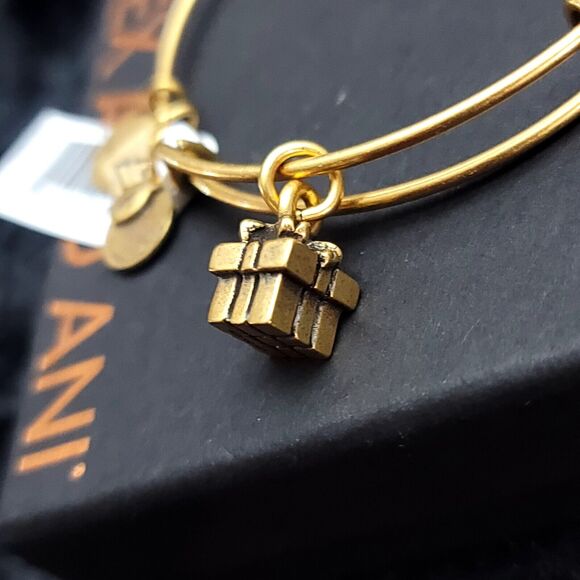 Alex And Ani Gift Box Charm Bracelet - Picture 6 of 7